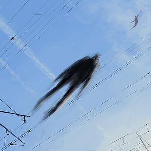 Joint Dreaming by Alex Andreev